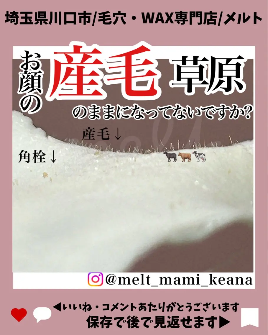 C. Lのマツエク・マツパデザイン