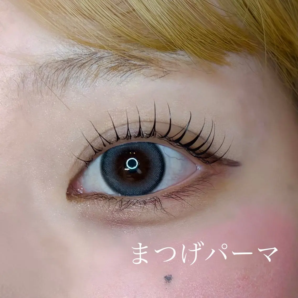 マツエク・マツパ まつげパーマ マツパ 🍒LOARK🍒 eyelashオオノの眉毛・アイブロウイメージ
