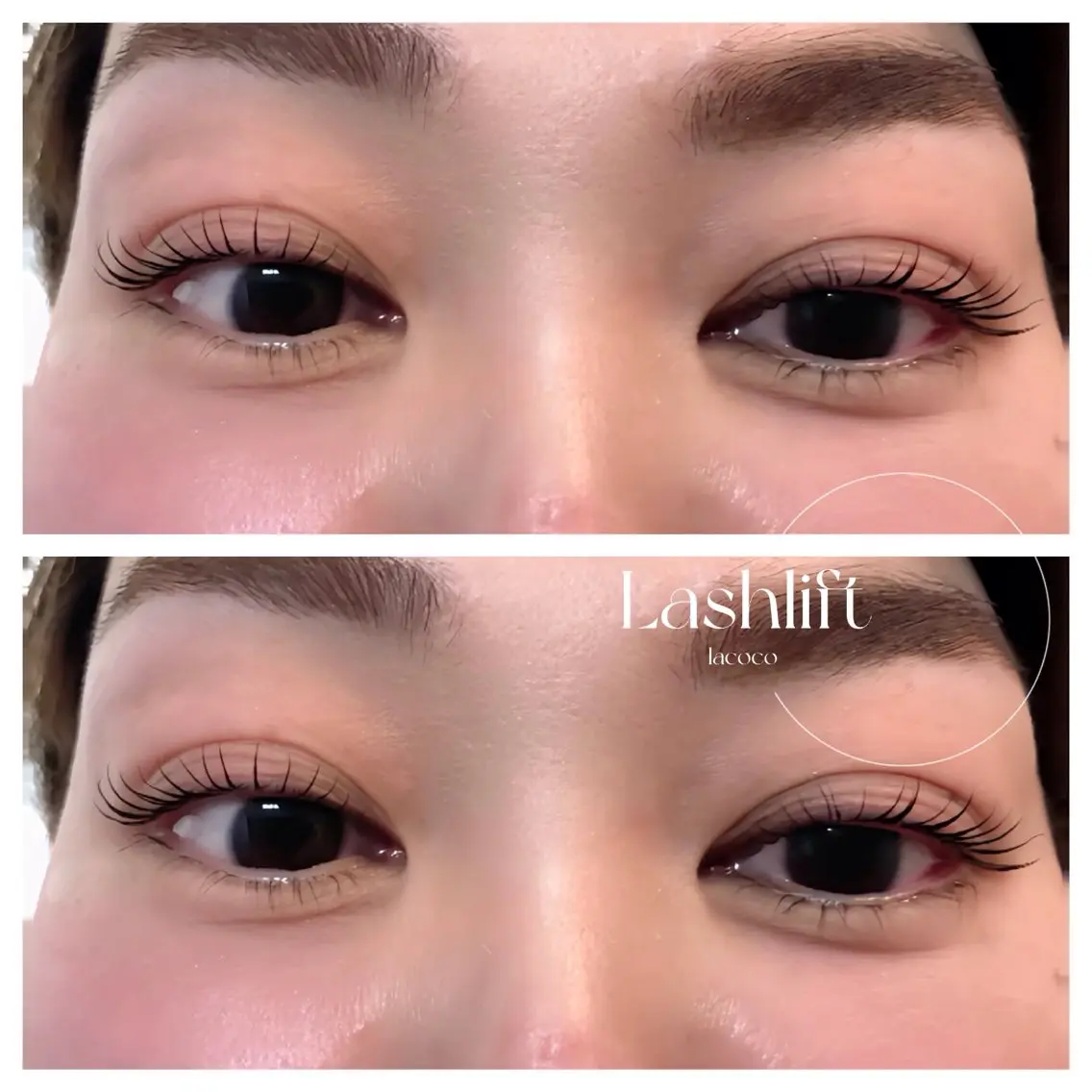 🌹まつ毛パーマ🌹　　　　　　　　　　　　　　✨ラッシュリフト✨の写真