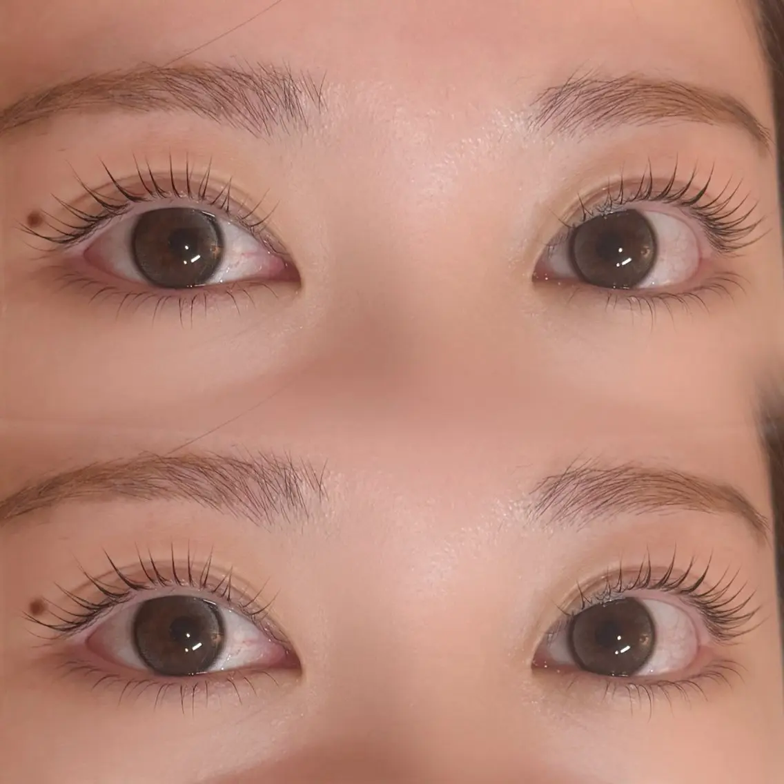 マツエク・マツパ マツパ BROW+ / momokaのマツエク・マツパデザイン
