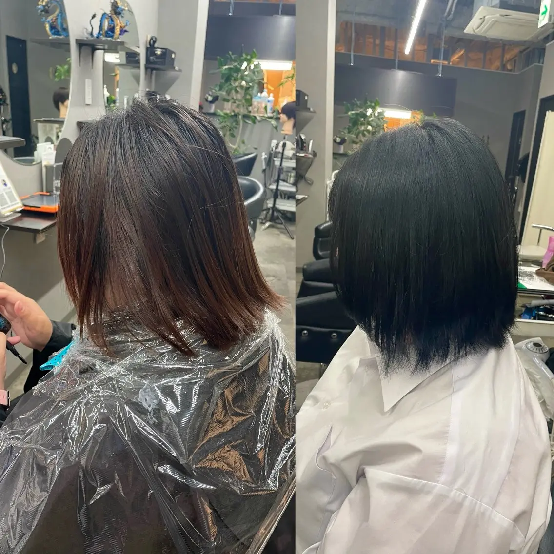 ショート カラー 🌻ミラクル美容師 🌻✨クッポ✨のヘアスタイル