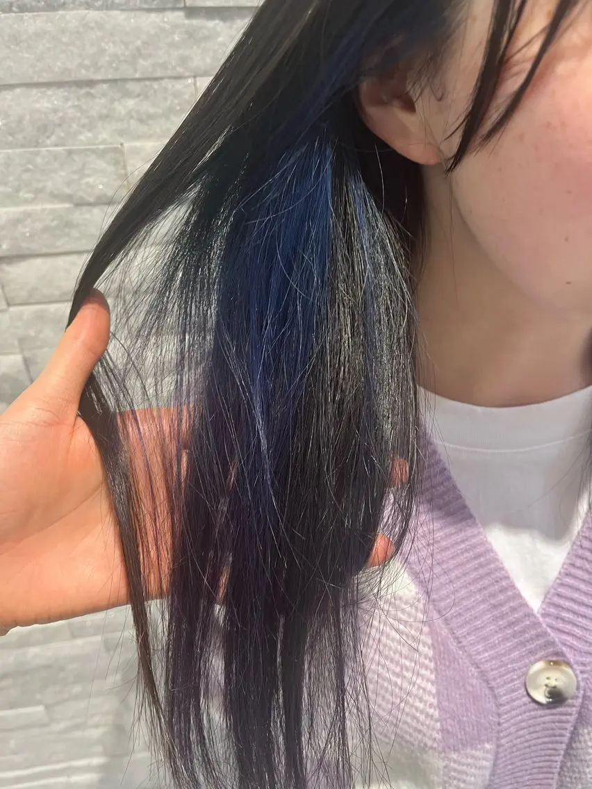 ロング カラー ブルーカラー グラデーションカラー インナーカラー パープルカラー カットモデル無料✨ 募集中✂️みなみ♥️のヘアスタイル