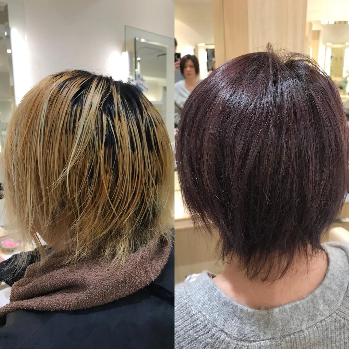 ショート カラー アッシュ ラベンダーカラー ラベンダーアッシュ AVANCE 長尾 尚悟のヘアスタイル