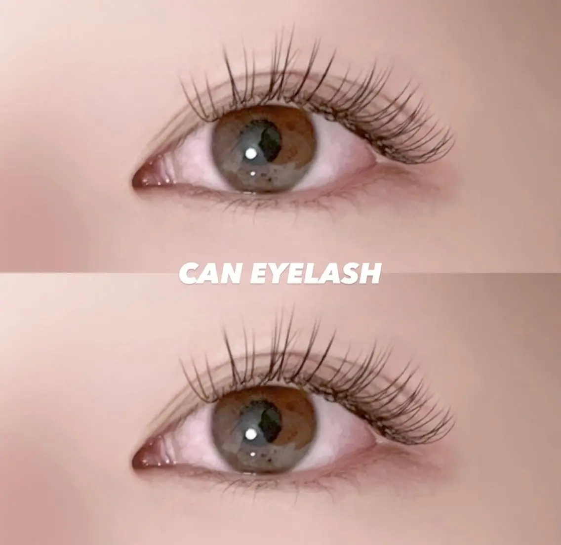 マツエク・マツパ マツエク CAN EYELASHの眉毛・アイブロウイメージ