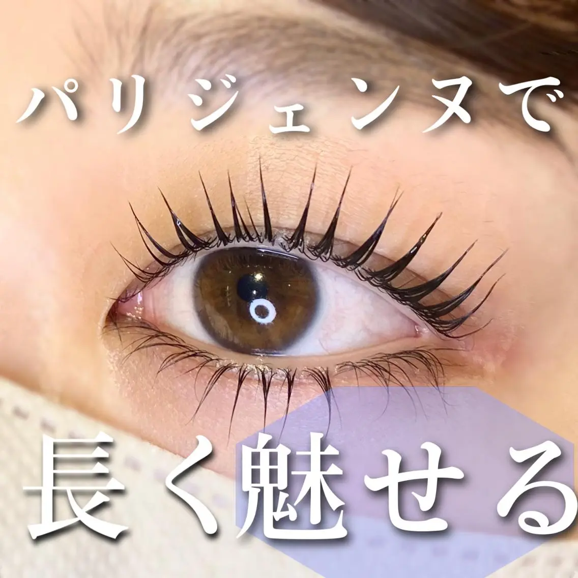 マツエク・マツパ パリジェンヌラッシュリフト マツパ 🦋eyelist 株 カブ🦋横浜のマツエク・マツパデザイン
