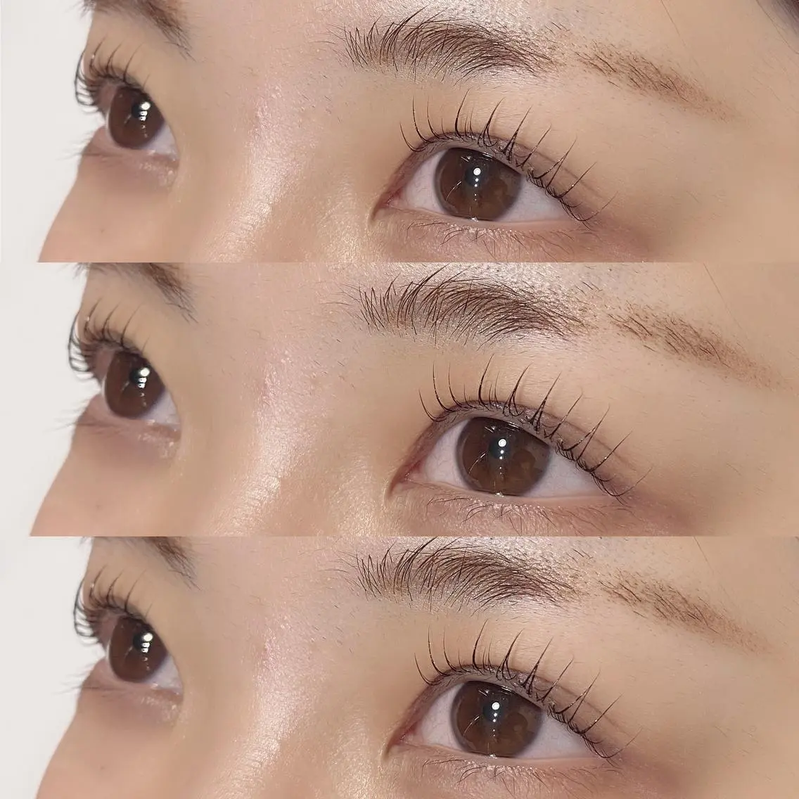 マツエク・マツパ まつげパーマ 一重×まつ毛パーマ 【coyo】 yunaのマツエク・マツパデザイン