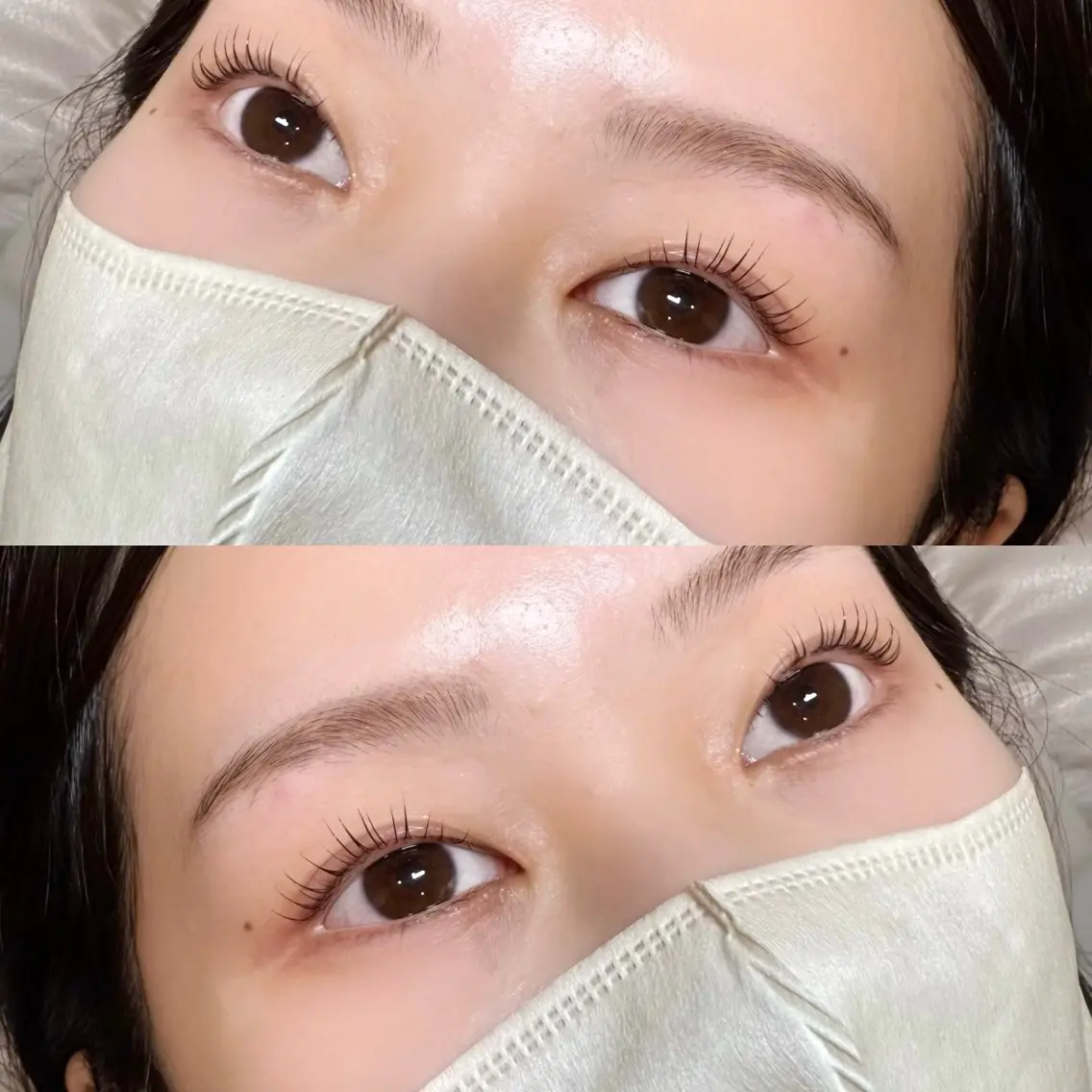 【9月限定】🫧🦢韓国風まつ毛パーマ🦢🫧の写真