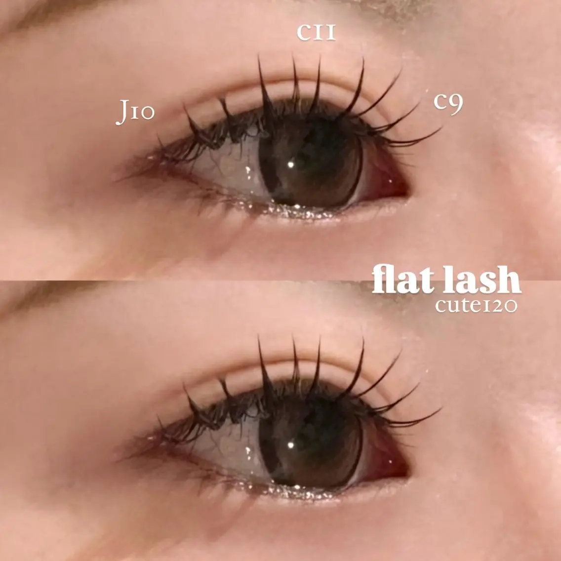ãðãããšã¯ã䌌åãããã¶ã€ã³âšãã©ãããããã©ãã·ã¥(âãâ120æ¬)ã®åç