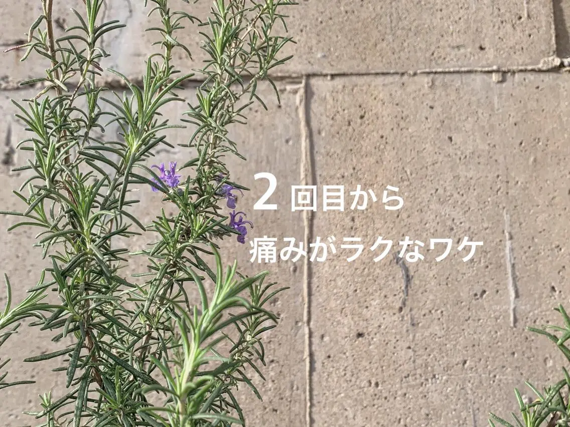 地上のトレチカ sugaringのエステ・リラクイメージ
