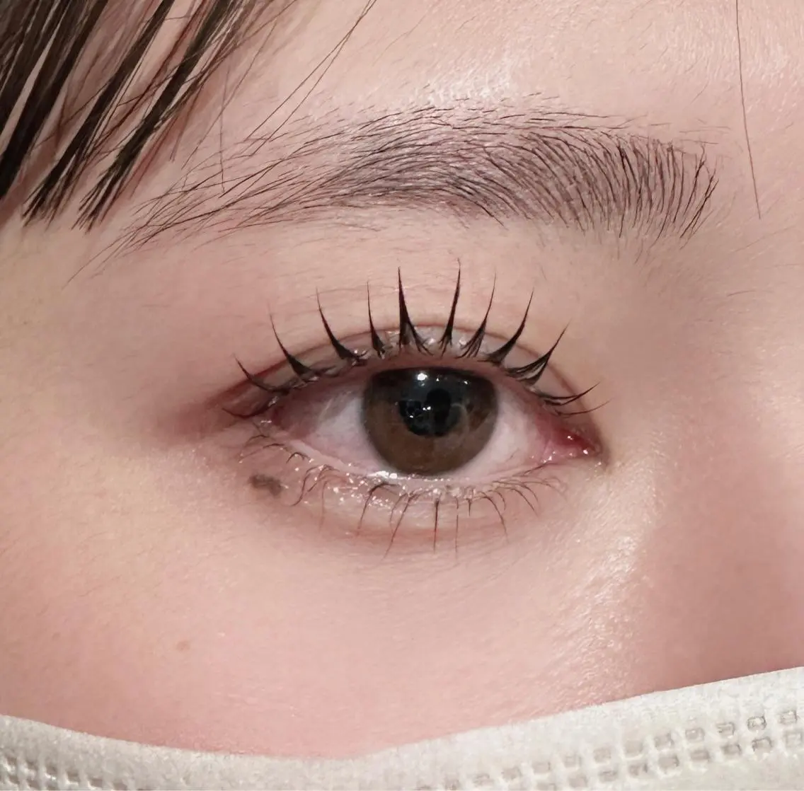 ✨初回限定✨2回目🍒【学割上下】パリジェンヌ・ラッシュリフトコーティング仕上げ🤗🎀の写真