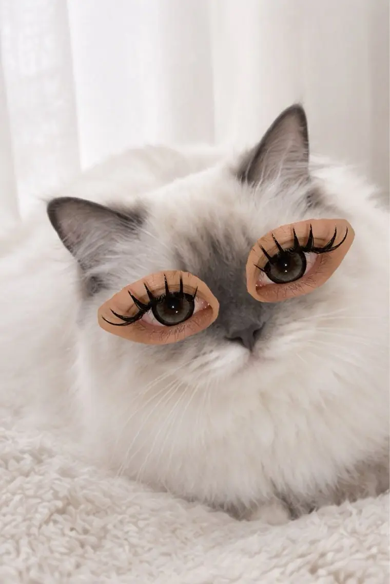 マツエク・マツパ Re:eyes Makiのマツエク・マツパデザイン