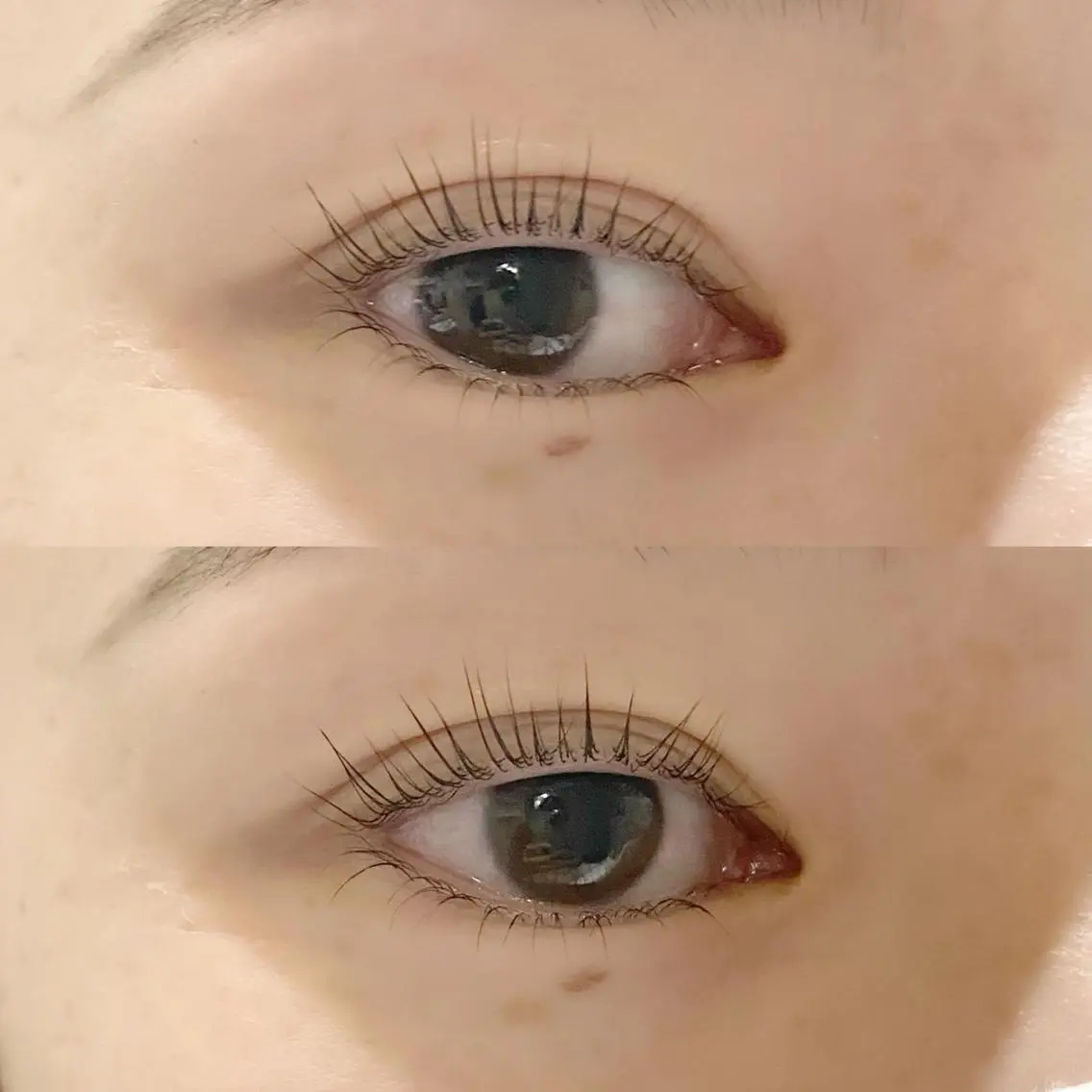 マツエク・マツパ パリジェンヌラッシュリフト 下まつげエクステ 一重×まつ毛パーマ eyelash "Koa"🕊🤎のマツエク・マツパデザイン