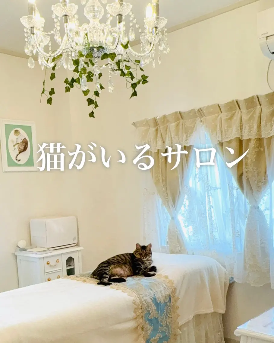 ★お茶会を楽しみながらカウンセリング★サロン選びやメニューに迷ったらまずここから！の写真
