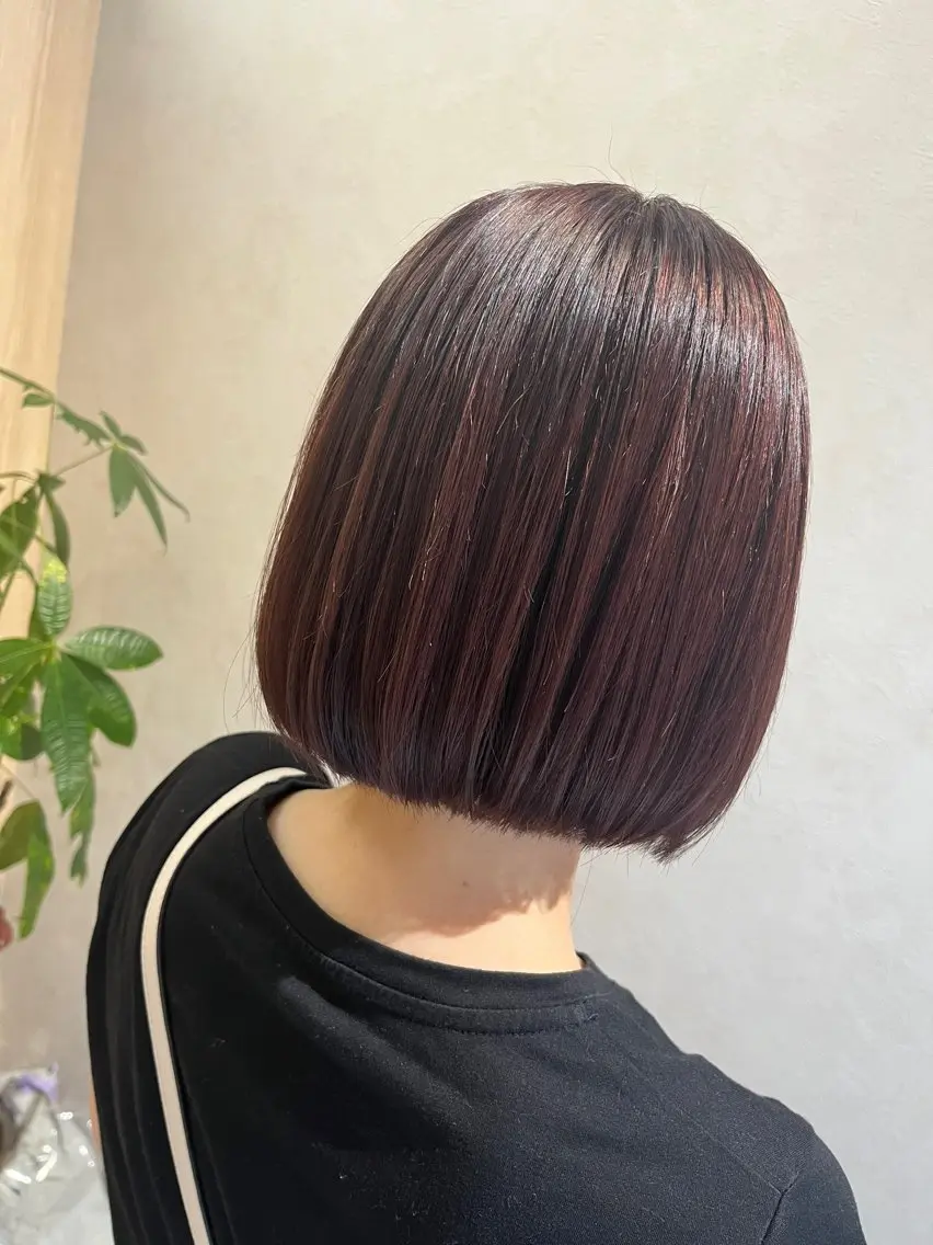 ショート 🫧艶カラー/韓国風 /フェザー🫧Renのヘアスタイル