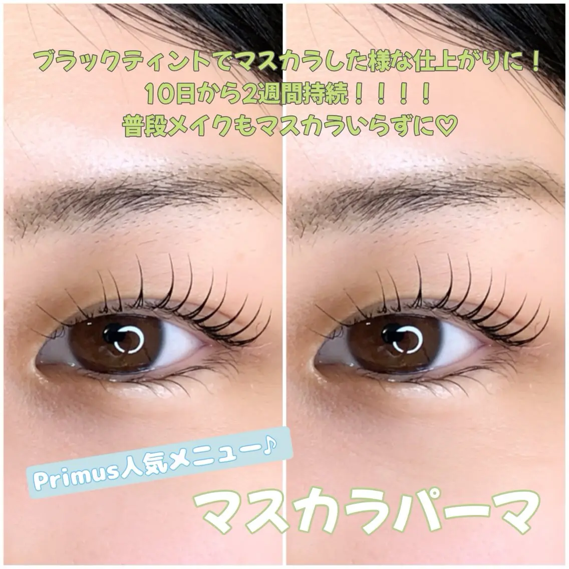 ラッシュリフト(まつ毛パーマ)の写真