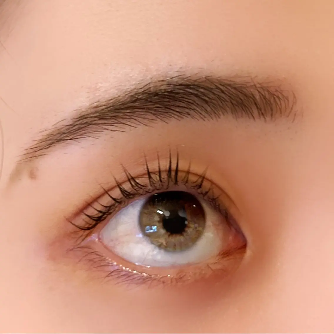 マツエク・マツパ パリジェンヌラッシュリフト Lien eyelash南流山のマツエク・マツパデザイン