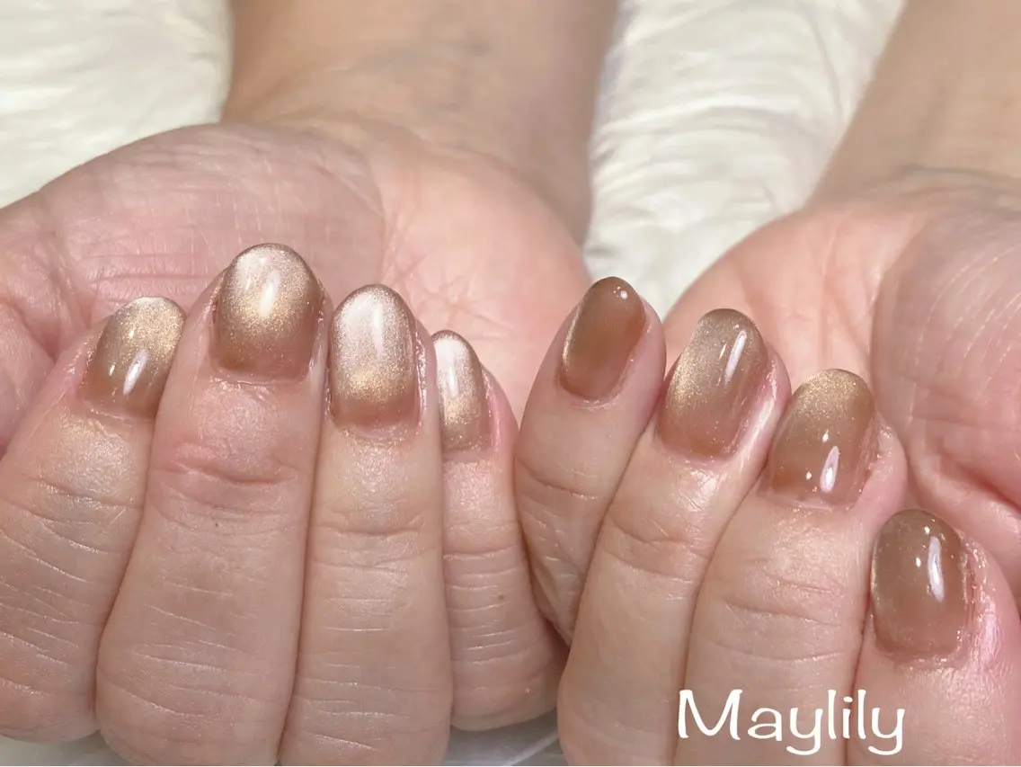 ネイル ブラウン マグネットネイル ハンドネイル Nail salon Maylilyのネイルデザイン