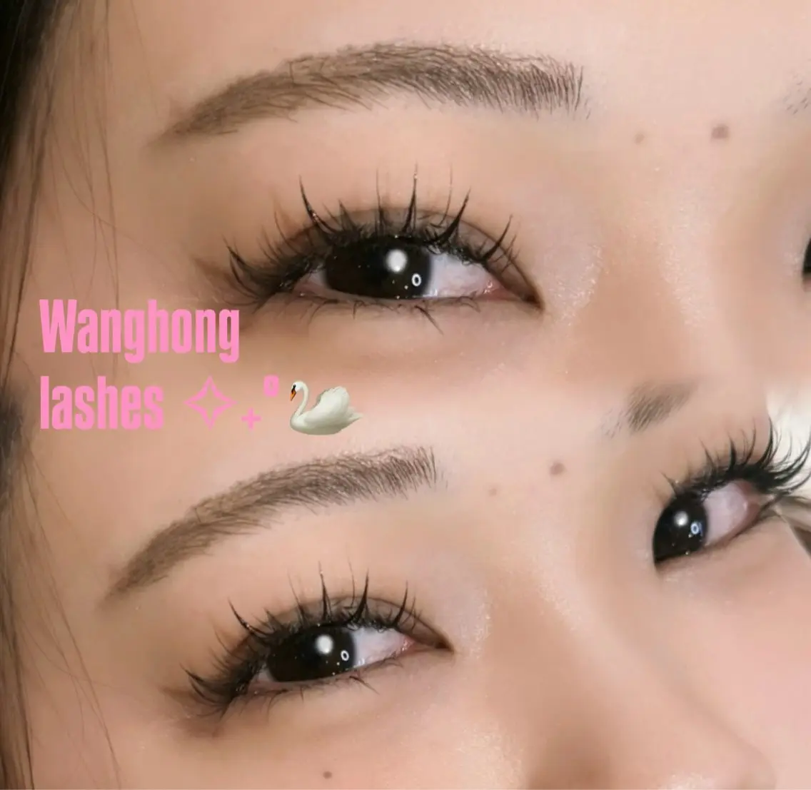 Wanghong lashes 🦢ワンホンマツエク✧₊⁎140本🪽オフ＋コーティング付き！の写真