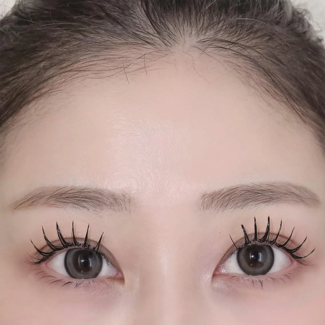 マツエク・マツパ マツエク Sylph 西宮店のヘアスタイル