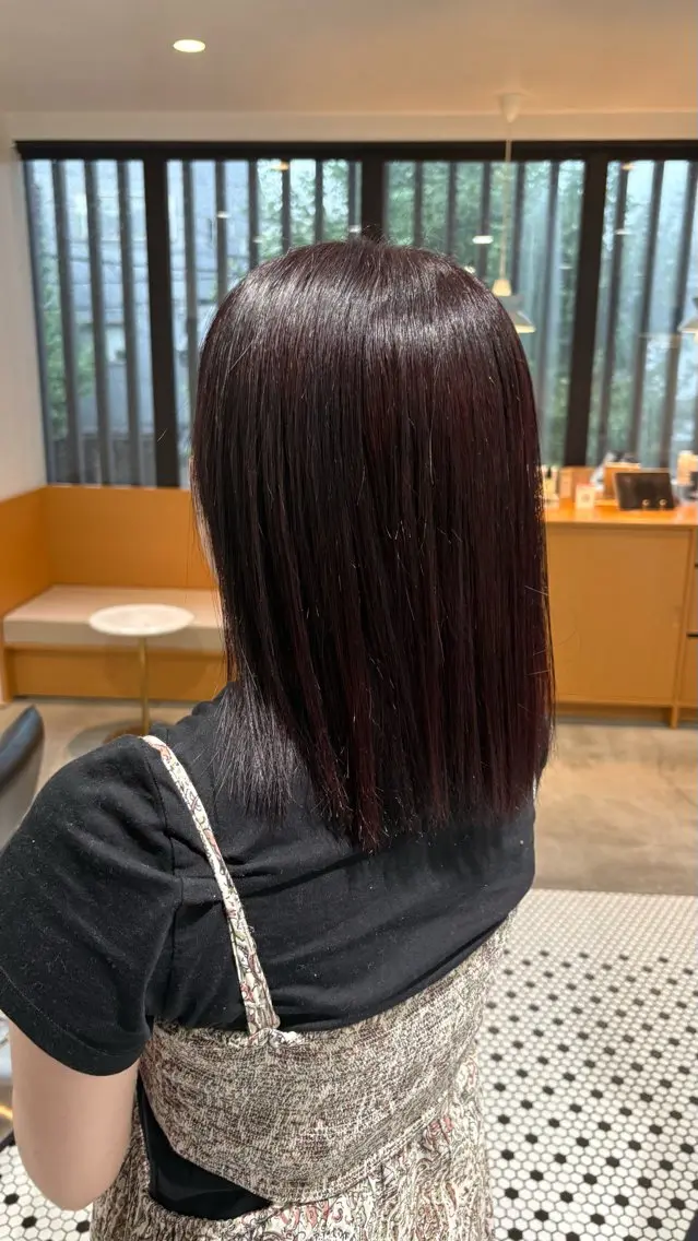 セミロング レッドブラウン 縮毛矯正 トリートメント のん🌻髪質改善/ 透明感カラーのヘアスタイル