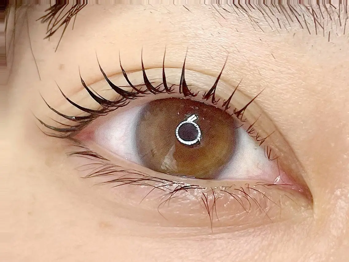 マツエク・マツパ eyelash CLAYの眉毛・アイブロウイメージ