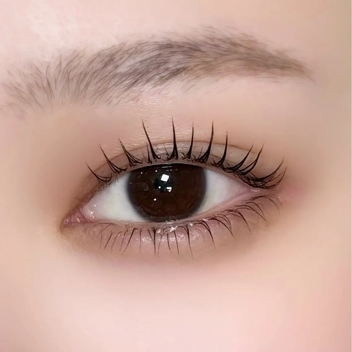 下まつ毛パーマ🧚🏻♀️の写真