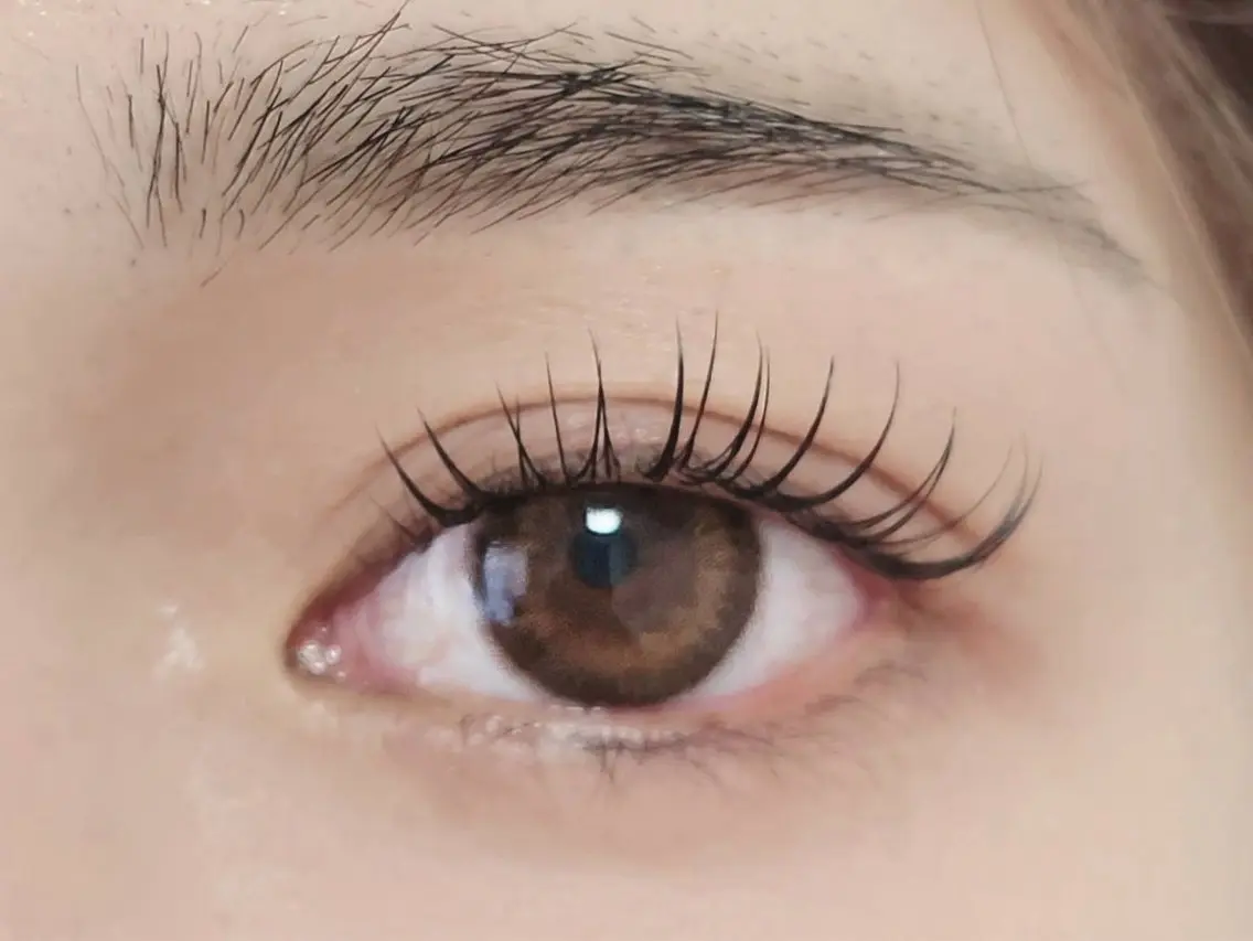 高持続フラットラッシュ100本(初回オフ込み)の写真