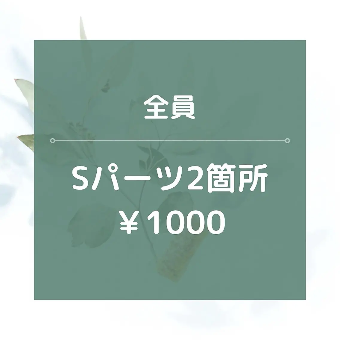 【男女OK】Sパーツ2箇所/¥1000☆★15分の写真