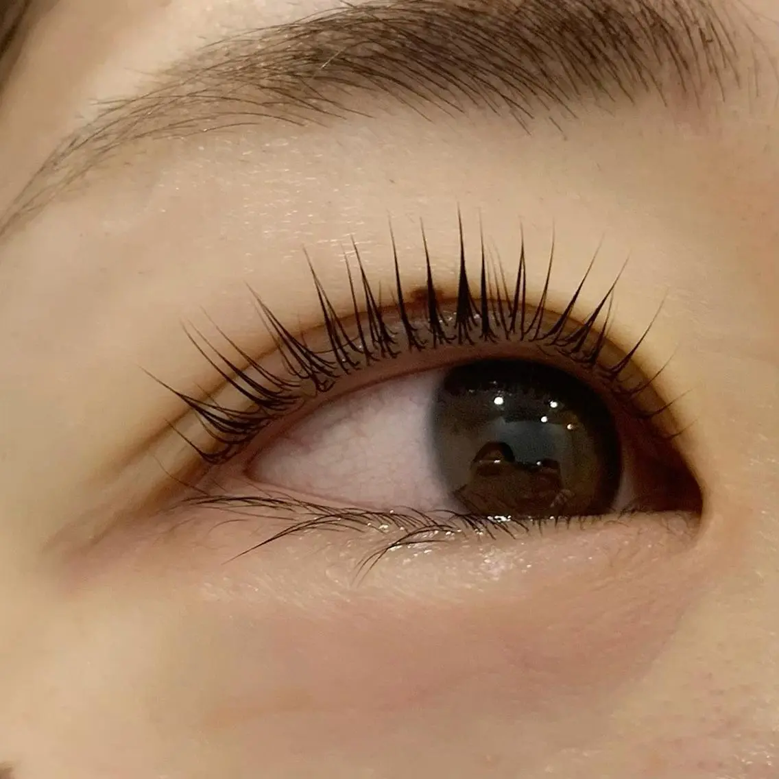 マツエク・マツパ パリジェンヌラッシュリフト 🧸Celeste Venusのマツエク・マツパデザイン