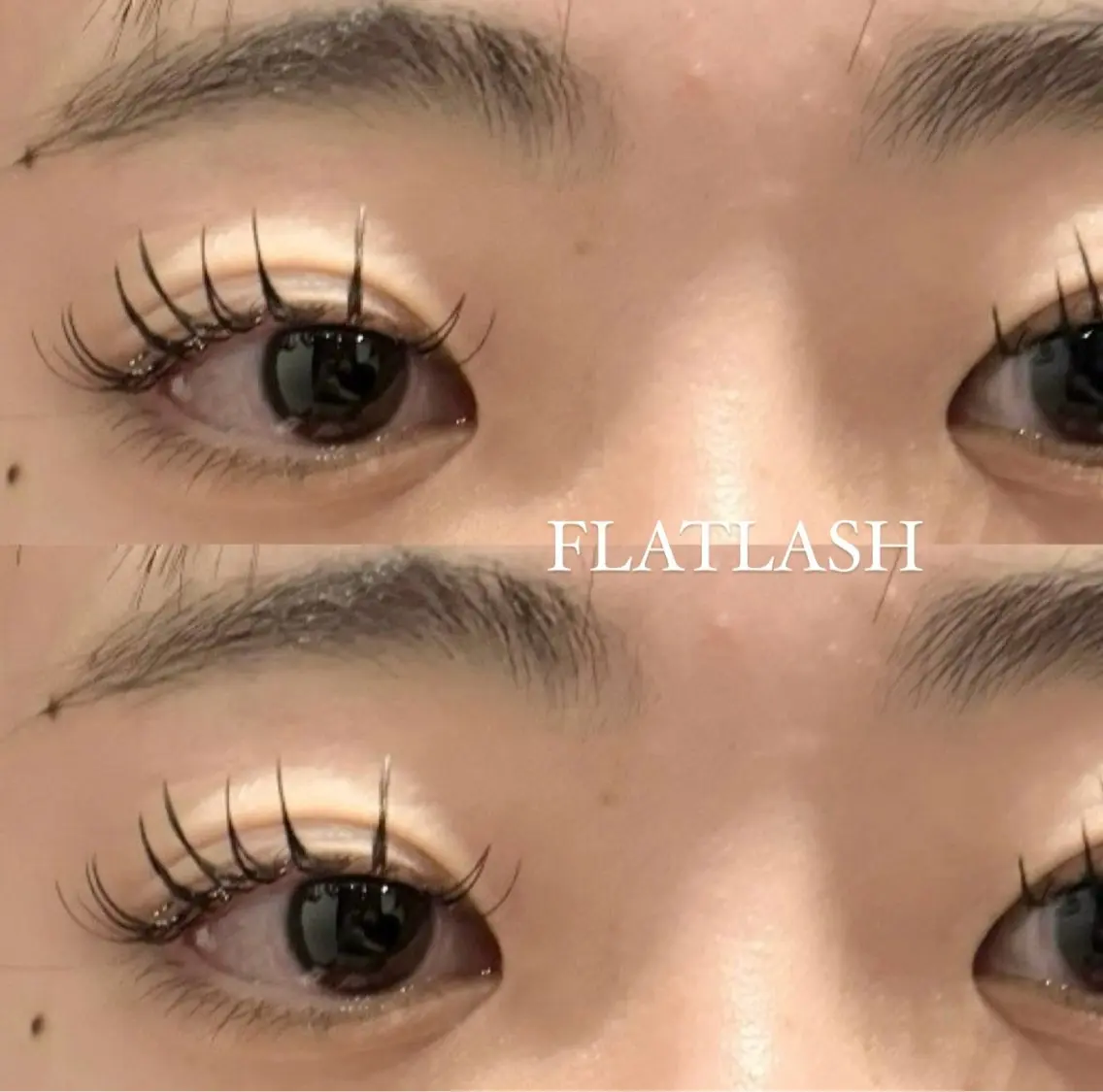 💖高持続マツエク Wフラットラッシュ 100本(50束)コーティング付き ¥4,980💖オフあり+¥550の写真