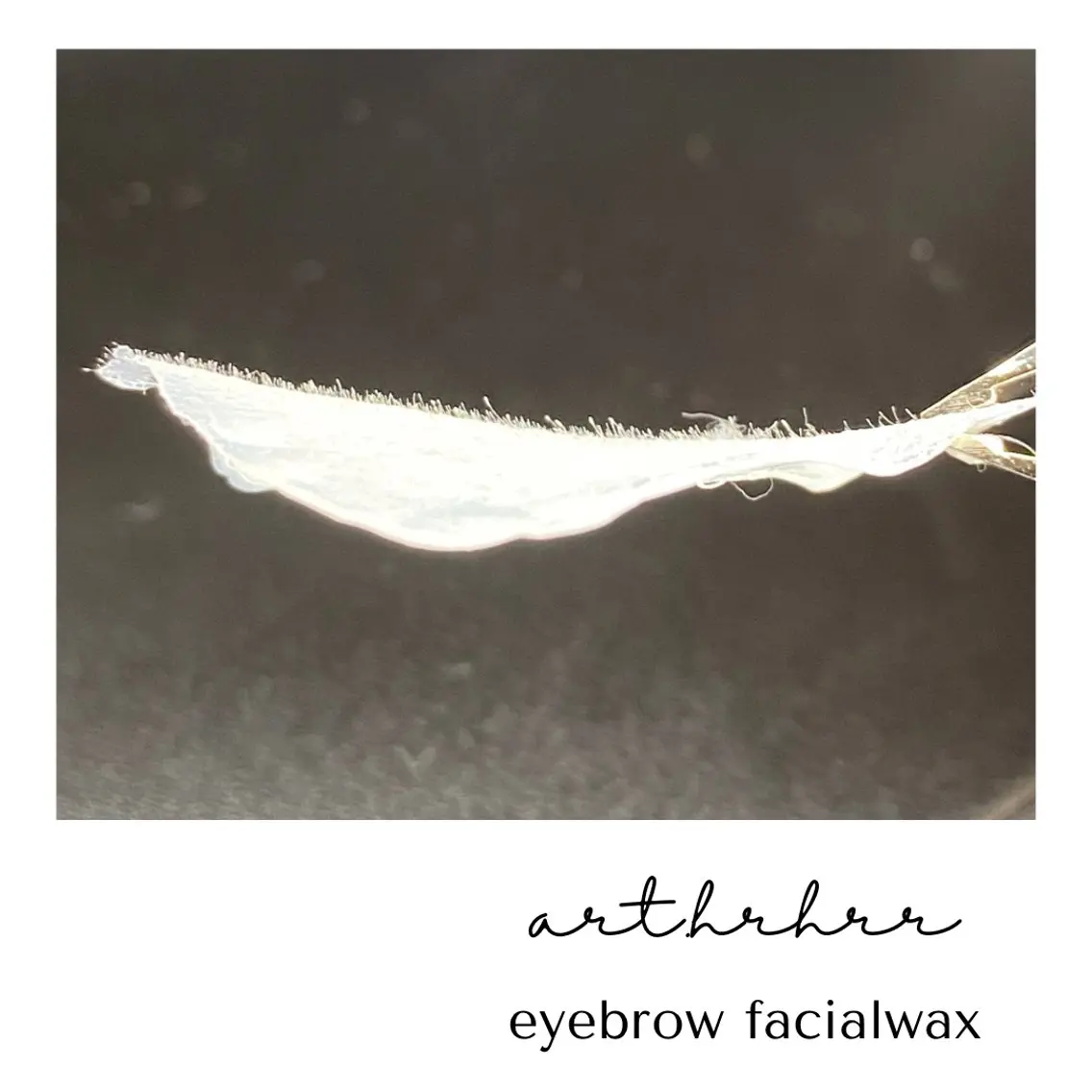 ワックス脱毛 その他(アイブロウ) HBL眉毛&フェイス WAX専門ハルヒラリの眉毛・アイブロウイメージ