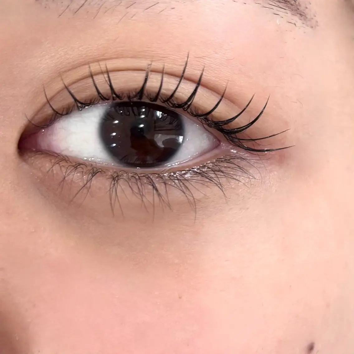 マツエク・マツパ eyelash .のマツエク・マツパデザイン