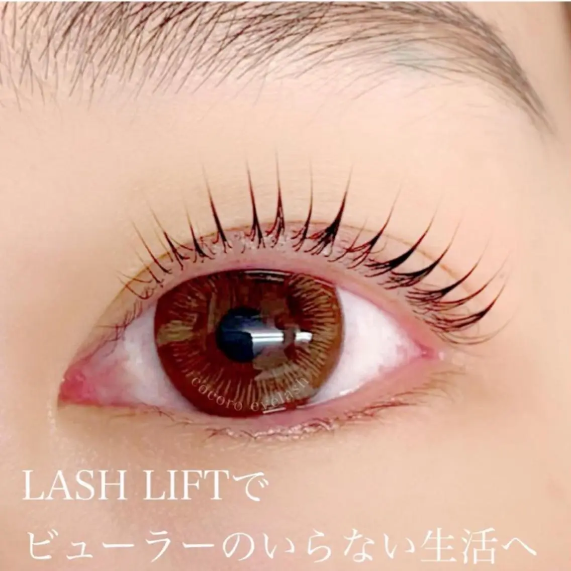 マツエク・マツパ まつ毛・眉/ 練習＆モニター専用のマツエク・マツパデザイン