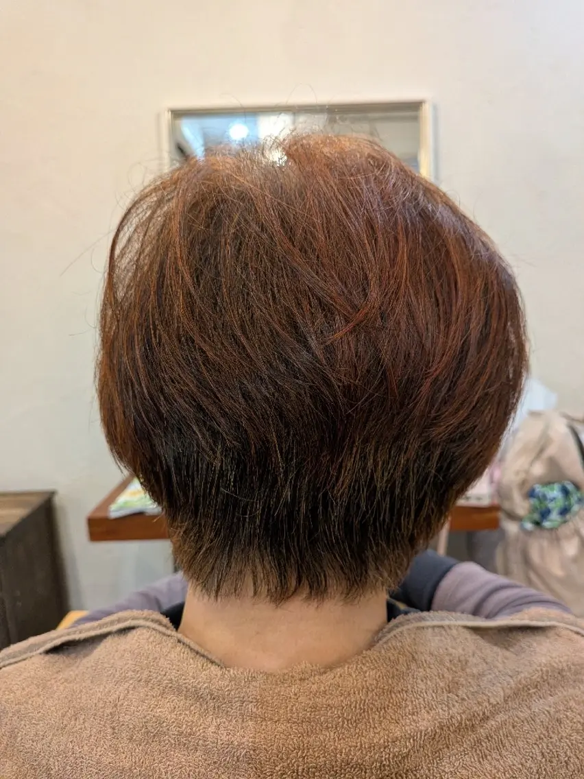ショート ショートボブ ボブ ショートヘア カットモデル無料✂️ 菊池　位公のヘアスタイル