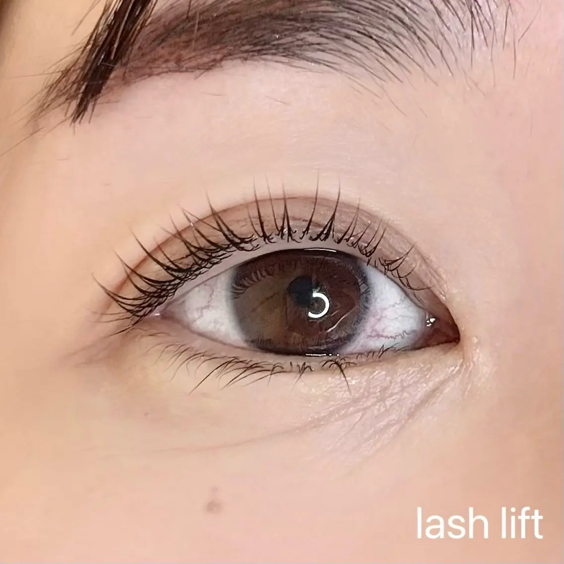 マツエク・マツパ まつげパーマ マツパ elua eyelashの眉毛・アイブロウイメージ