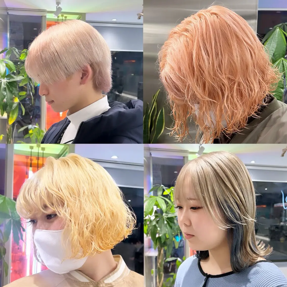 カラー ブリーチ ケアブリーチ 透明感カラー ハイトーンカラー イルミナカラー メンズウルフ/ボブ パーマ/くるみのヘアスタイル