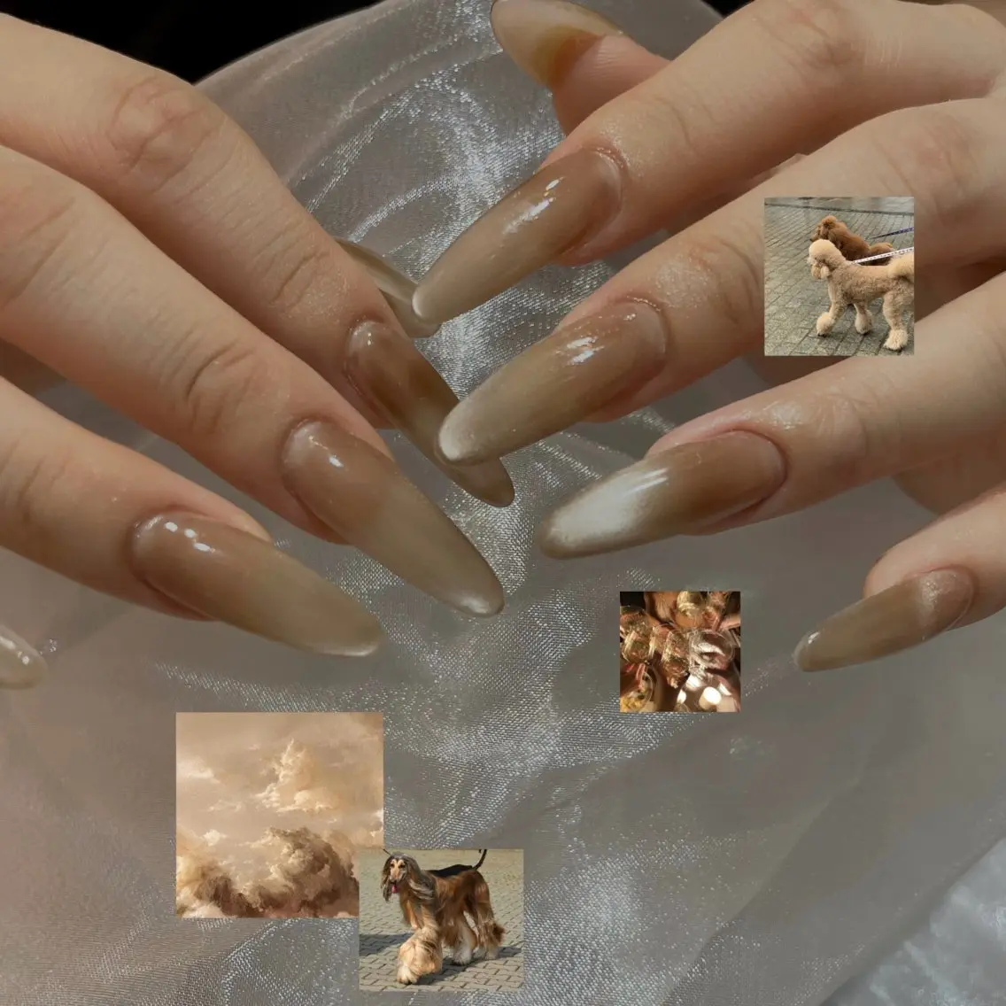 ネイル Biju_ NailStudioのネイルデザイン