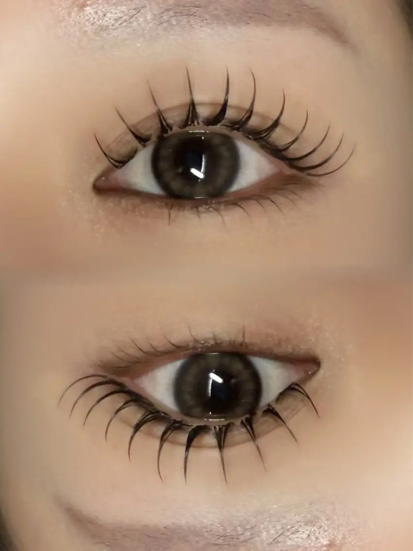 フラットラッシュ 100本の写真
