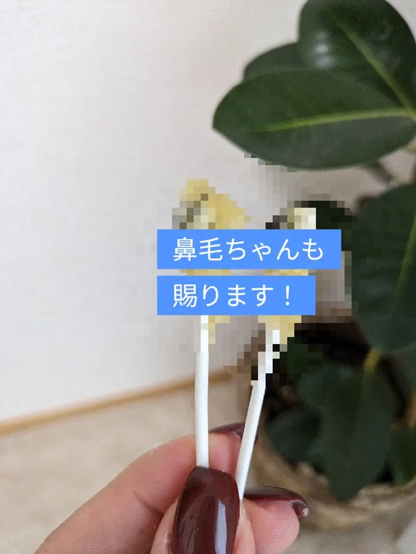 【ミニモ限定】鼻毛松ヤニワックス脱毛の写真