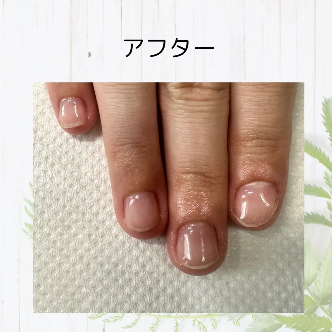 ネイル クリアネイル ジェルネイル ネイルケアサロン Campanulaのネイルデザイン
