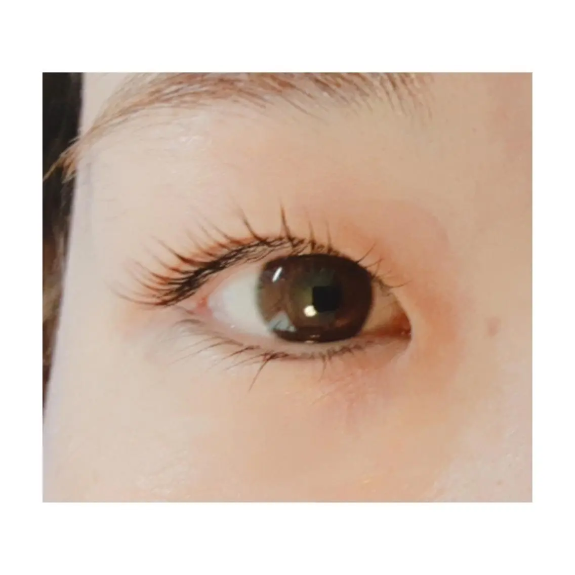 マツエク・マツパ 【Mola.】 eyelashのマツエク・マツパデザイン