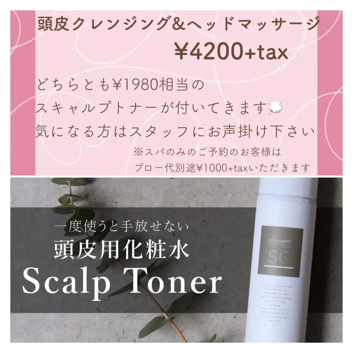 デジタルパーマ🫧 韓国風ヘア🫧サクラのヘアスタイル