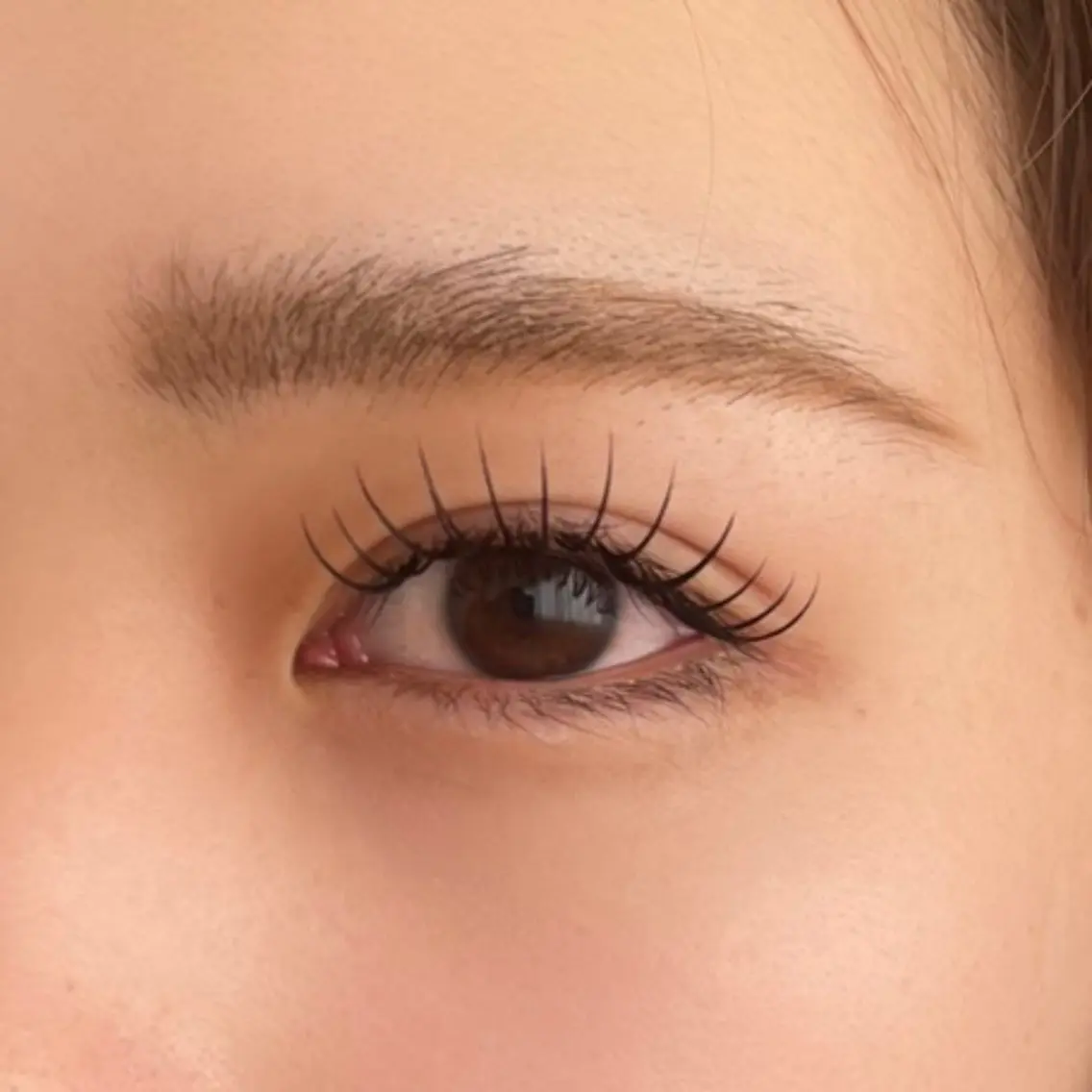 本日限定【ダブルフラット100束 】オフ+550円(付け足し不可)の写真