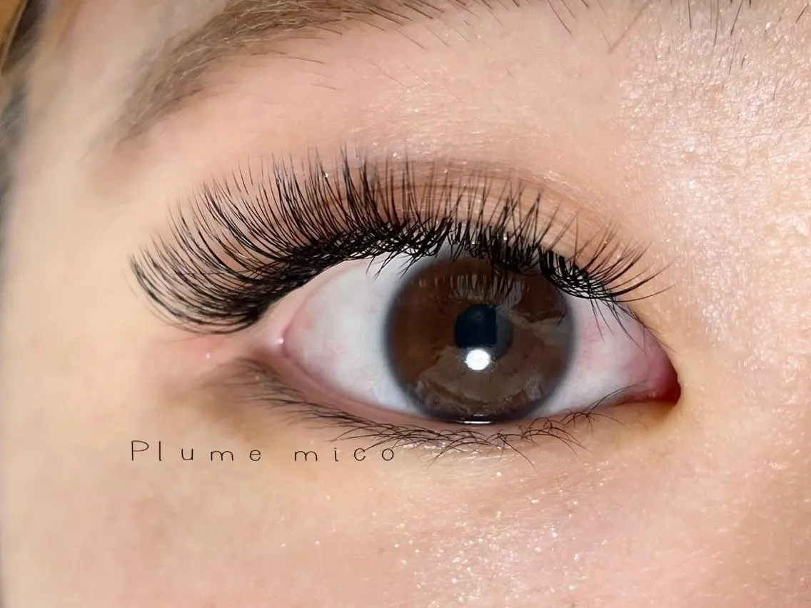 マツエク・マツパ マツエク Plume micoのマツエク・マツパデザイン