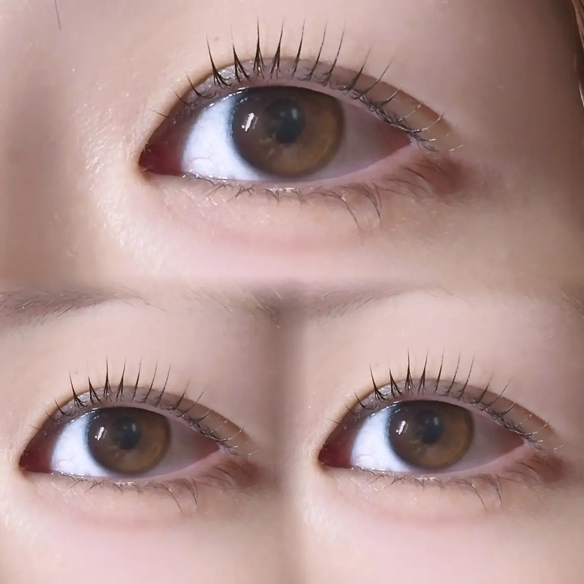マツエク・マツパ 【MEPP】たにわき ゆうなの眉毛・アイブロウイメージ