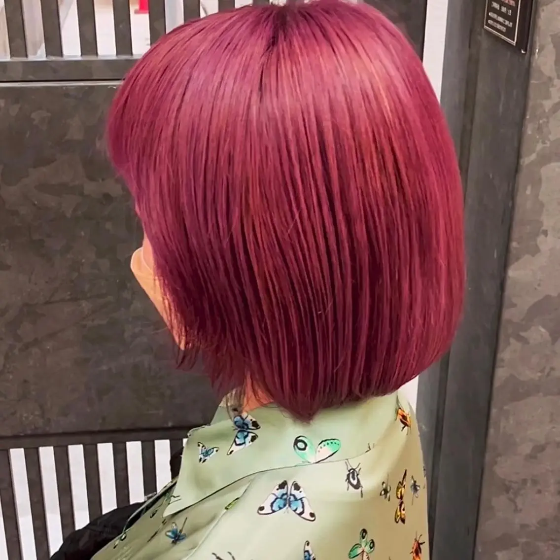ショート アッシュ アッシュグレー アッシュグレージュ ミストバング ボブ ヘアカラー 大人可愛い/レイヤー /ブリーチ/溝口誠二のヘアスタイル