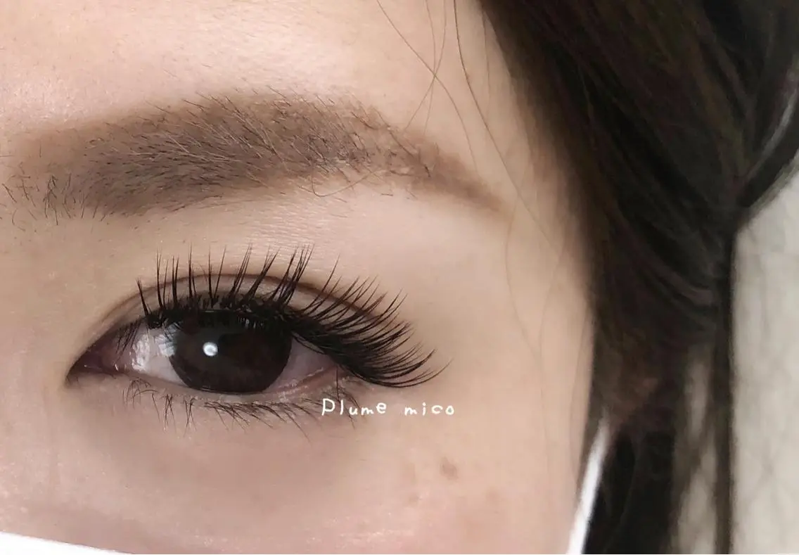 マツエク・マツパ マツエク Plume micoのマツエク・マツパデザイン