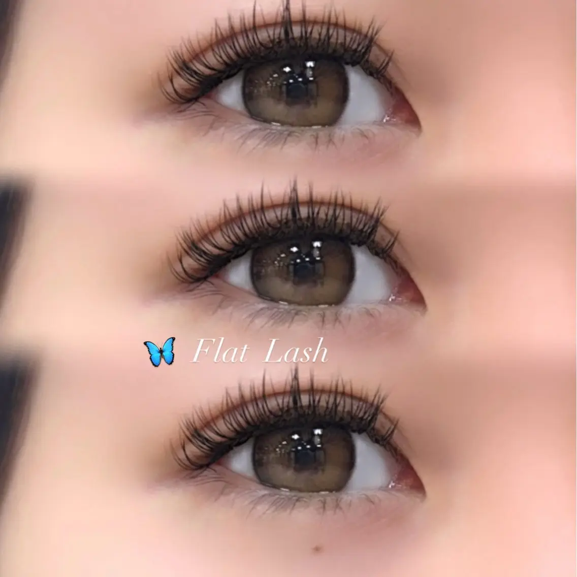 マツエク・マツパ マツエク PORTE269🦋 Maika.のマツエク・マツパデザイン