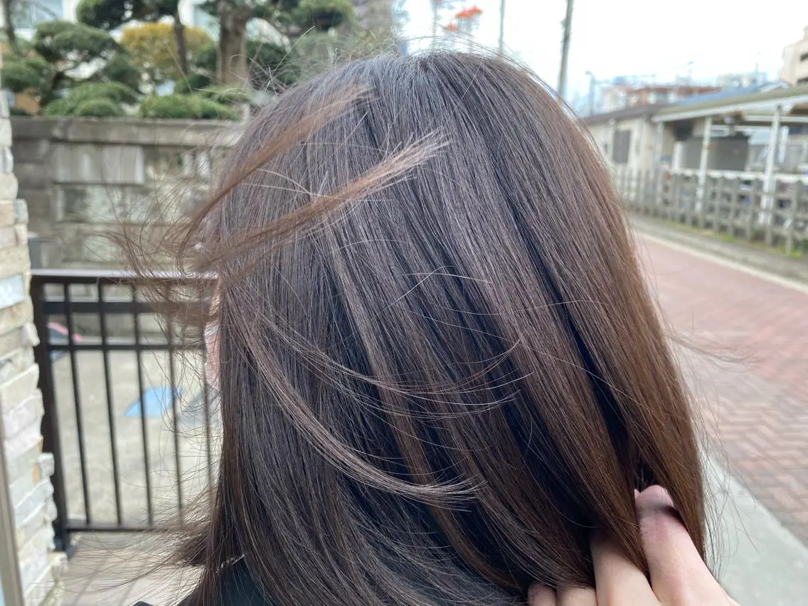 カラー アッシュ アッシュブラウン ブラウンカラー NATUREL 本田風のヘアスタイル
