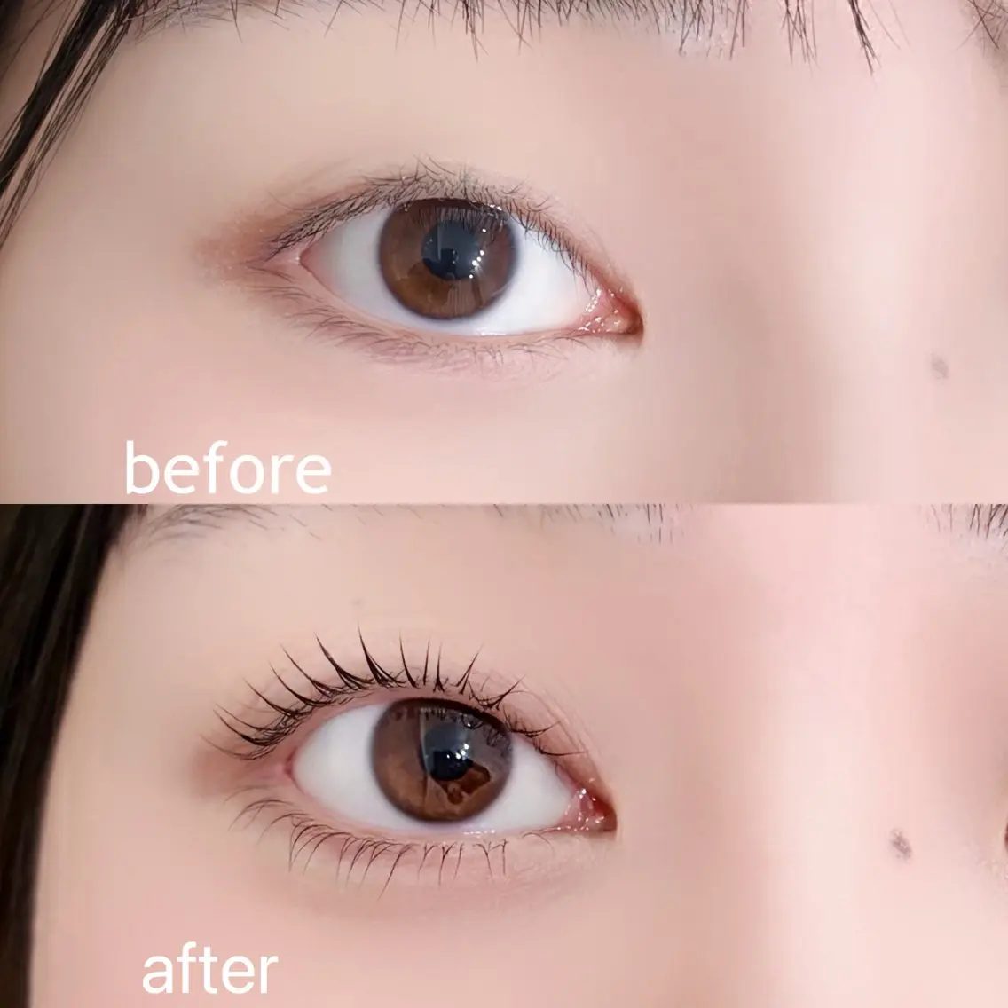 マツエク・マツパ 下まつげエクステ 一重×まつ毛パーマ Crevia Chieのマツエク・マツパデザイン